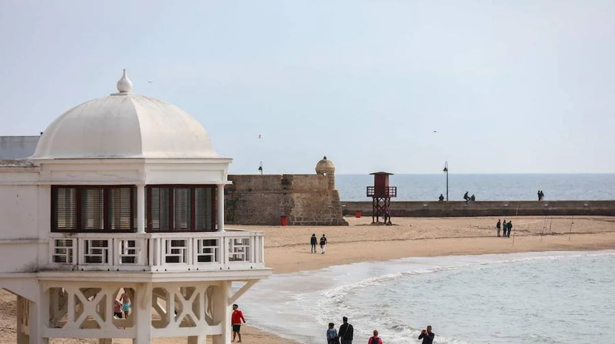 Descubren en una playa de Cádiz diez especies marinas nuevas para la Ciencia