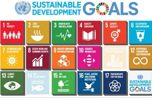Objetivos de Desarrollo Sostenible fijados por las Naciones Unidas para su cumplimiento en el año 2030