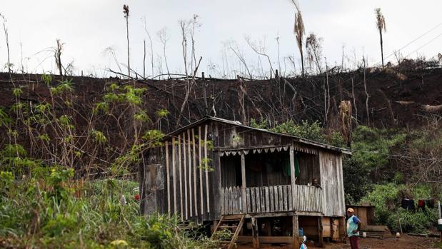 Preservar la Amazonia como un «santuario de la humanidad», un sueño muy complejo