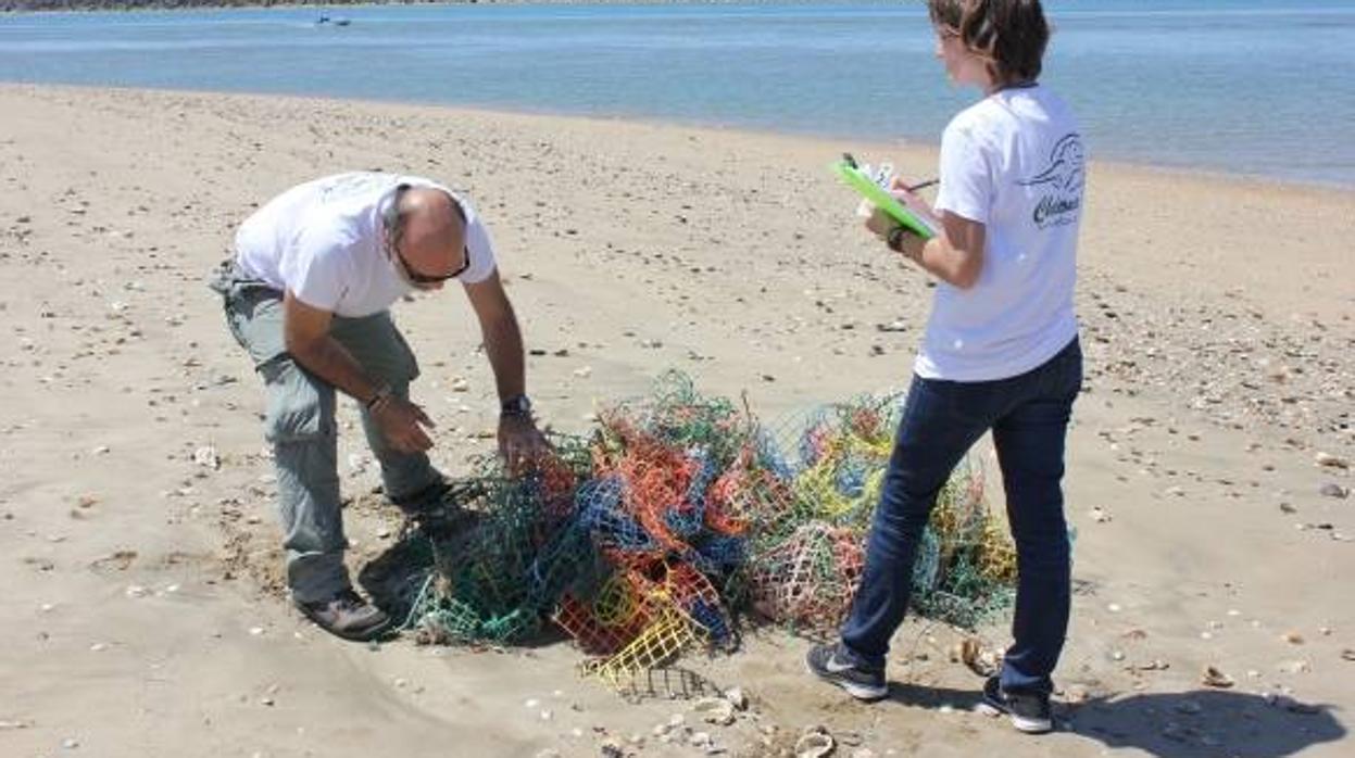 Limpieza de basura marina con la Asociación Chelonia