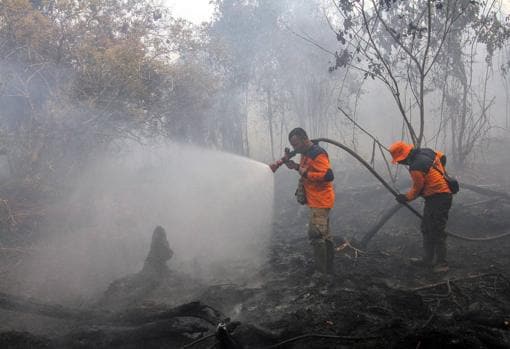 Los incendios que arrasan Indonesia: cinco claves que explican este desastre medioambiental