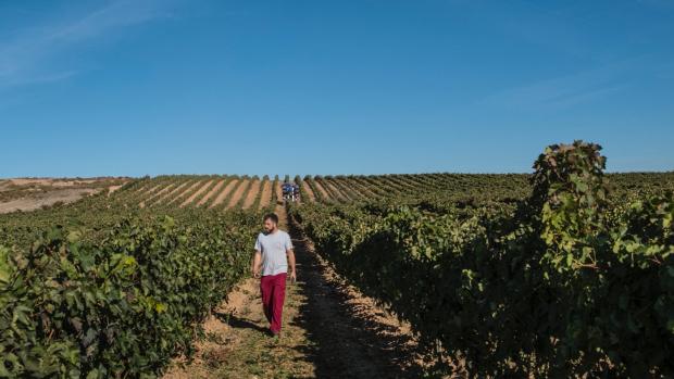 Uvas en peligro de extinción