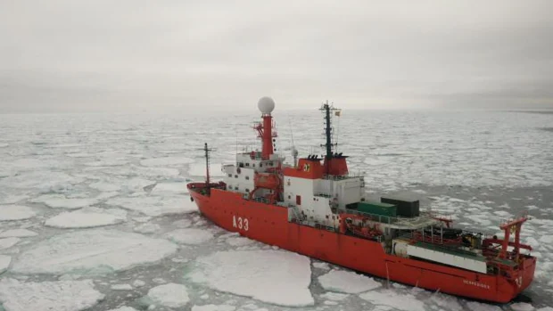 Los científicos insisten en aplicar medidas para evitar que el Covid 19 llegue a la Antártida e infecte a la fauna