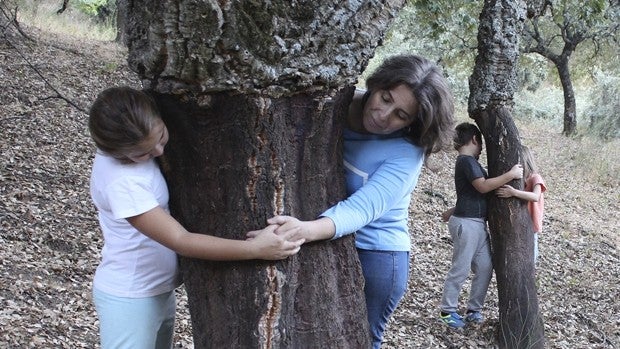 Educación a cielo abierto