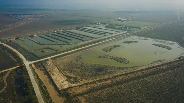 Misión posible: 1.540 millones de litros de agua ahorrados