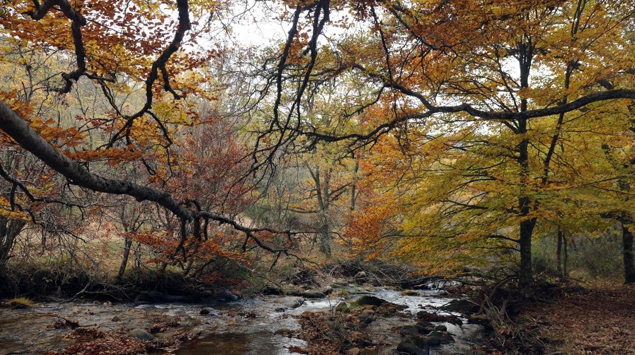 La Sierra del Rincón es Reserva de la Biosfera de la Unesco desde 2005