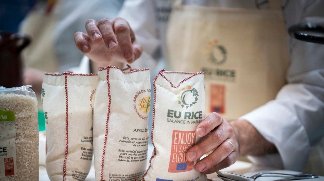 El cultivo del arroz en la Albufera valenciana preserva un ecosistema único