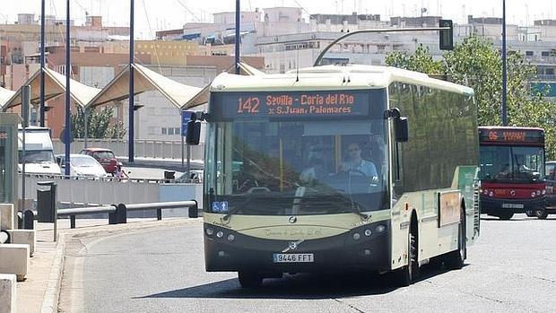 Un autobús metropolitano llega a la zona de Chapina