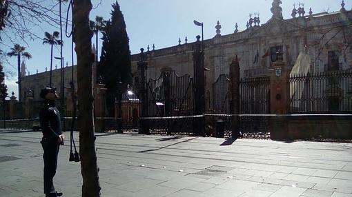 La caida de una palmera en San Fernando ha provocado el corte del Metrocentro