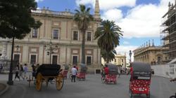 Varios triciclos realizando una ruta por la Plaza del Triunfo