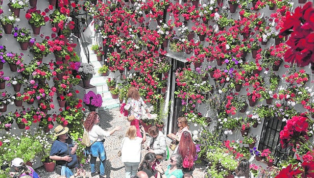 Los Patios de Córdoba, la fiesta de los sentidos