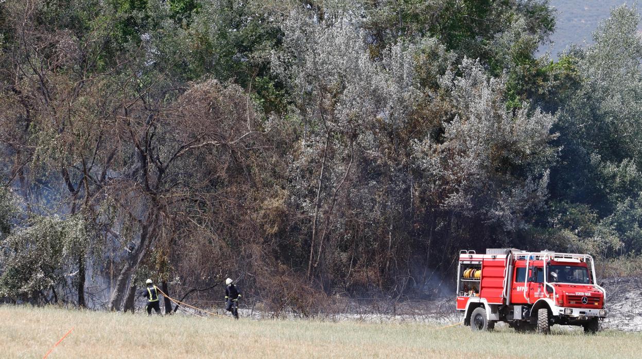 Actuación reciente de bomberos y el Infoca