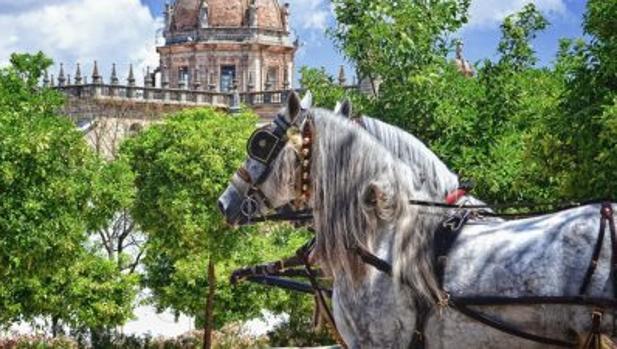 Ruta por la España ‘low cost’: Jerez, entre los destinos más baratos para viajar en otoño