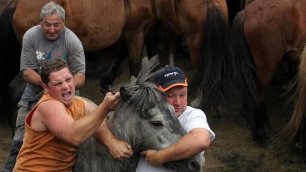 La Rapa das Bestas se sobrepone al Covid: «Era necesario volver a la pista»