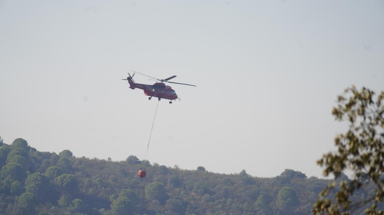 Labores de extinción del fuego forestal en la zona de Alcaracejos