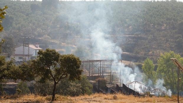 Un tecnicismo deja fuera a Alcaracejos de la declaración de zona catastrófica, que sí logra Villaharta