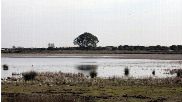 Huelva tiene agua suficiente para Doñana