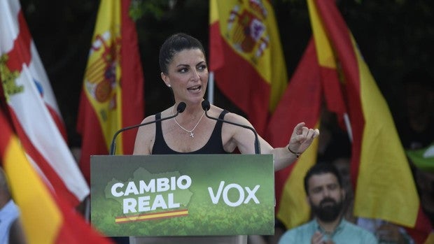 Qué dice el programa electoral de Vox de las elecciones andaluzas