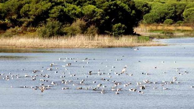 Cinco propuestas de ocio para este fin de semana en Sevilla