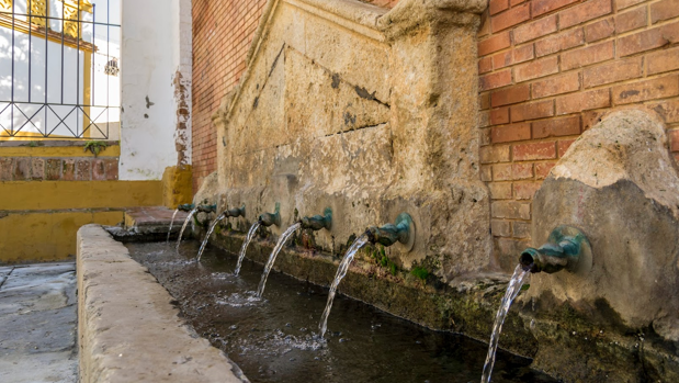 Las rutas del agua de Mairena del Alcor