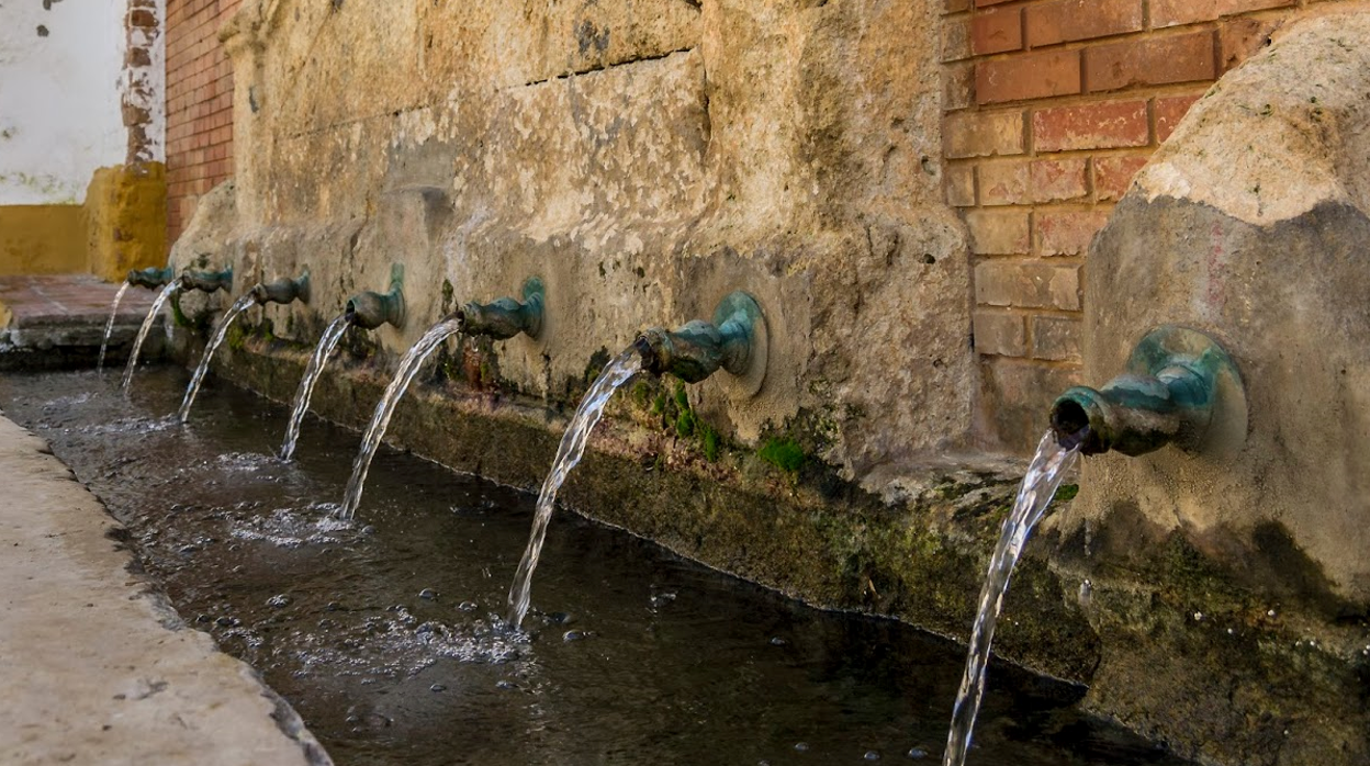 El agua de Emasesa traza dos rutas del agua por Mairena del Alcor