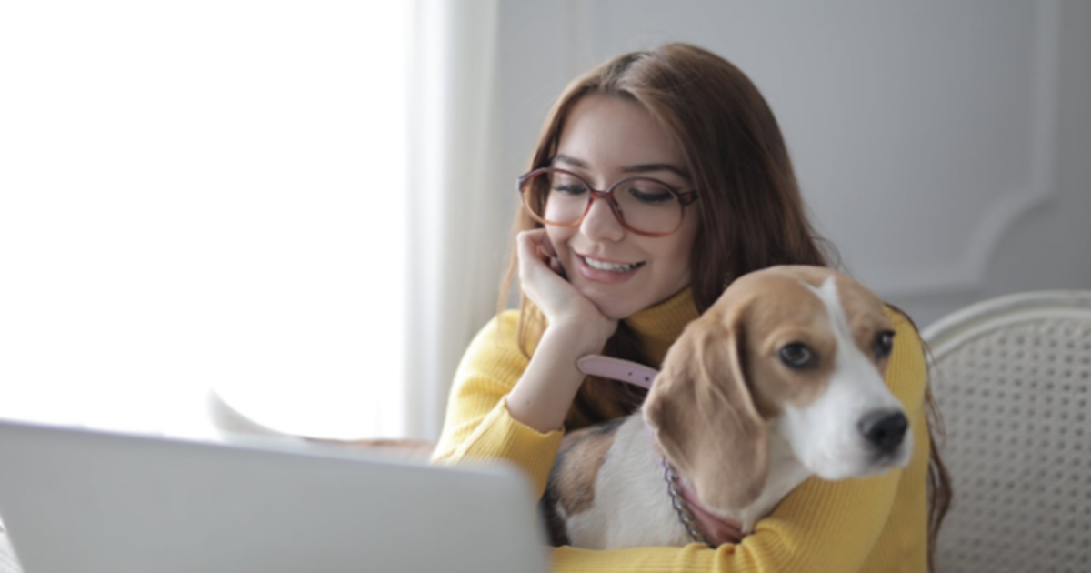 Todas las ventajas de trabajar en casa con mascotas