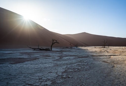 La desertificación es una de las consecuencias que está teniendo el cambio climático. / Eelco Böhtlingk / Unsplash