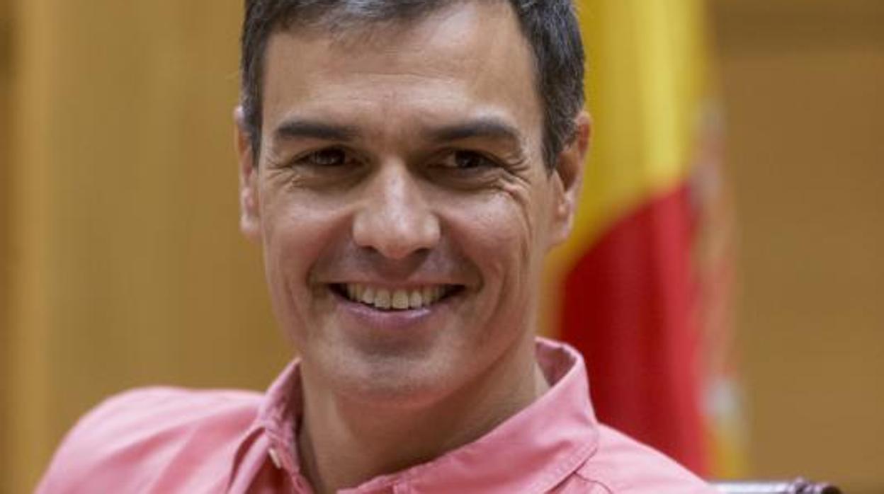 Pedro Sánchez en el Senado