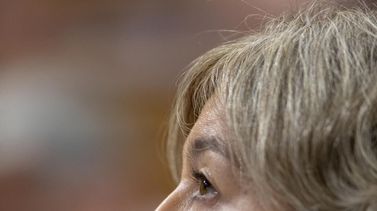 Envolverse en la bandera