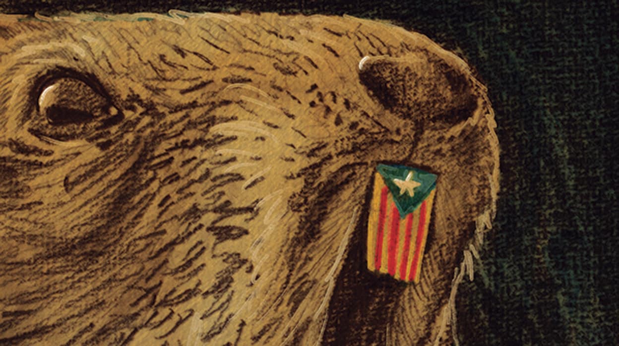 El día de la marmota catalana