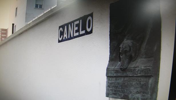 Una vela para San Canelo