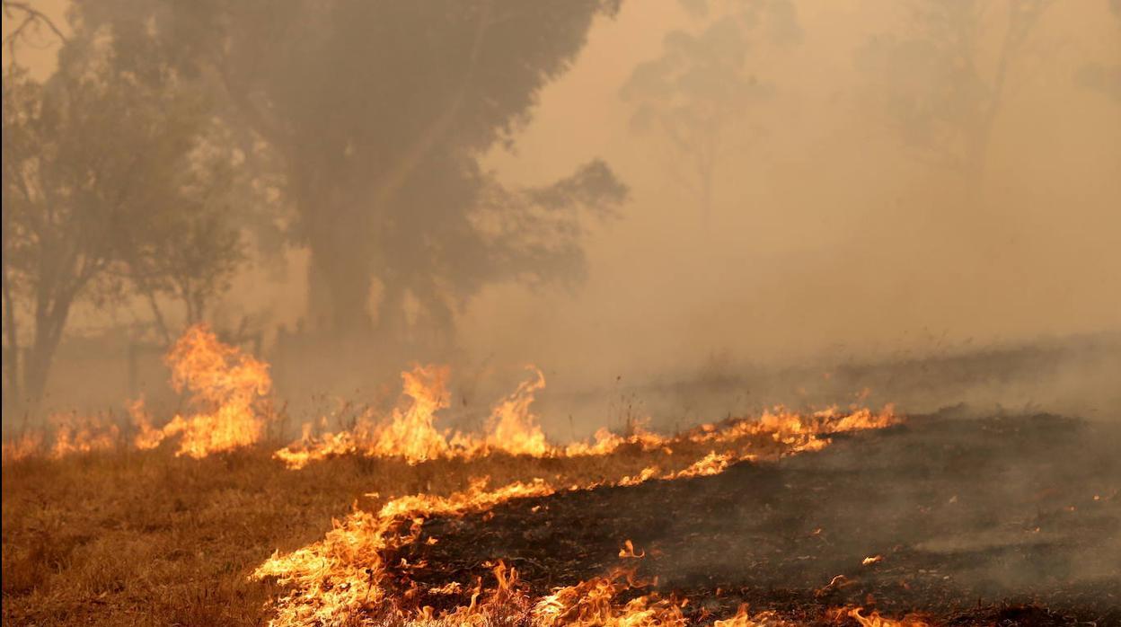 Incendio en Australia.