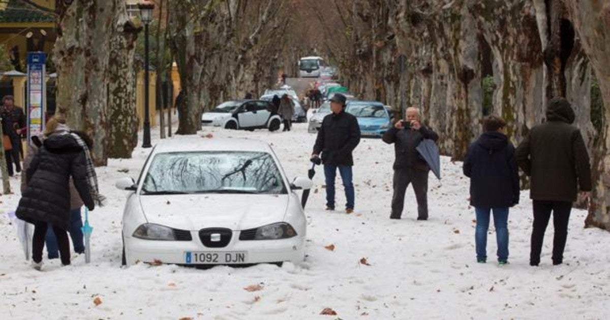 El paseo del Limonar en Málaga capital cubierto por un manto blanco tras la intensa granizada.