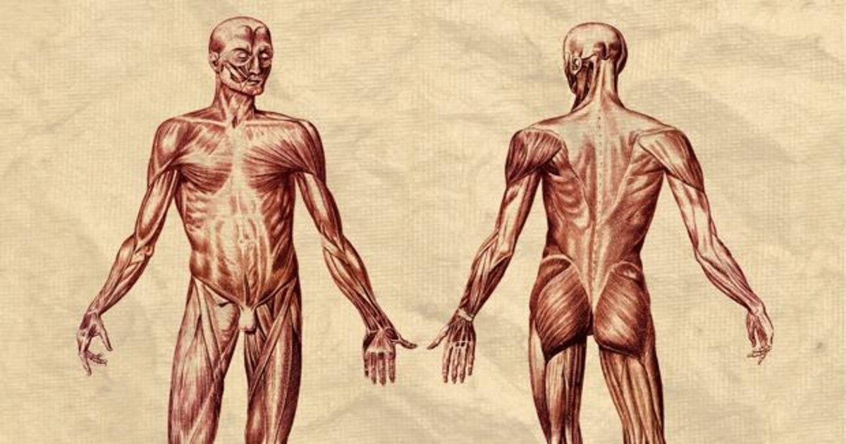 Pedro García Cuartango: La gramática del cuerpo