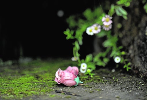 Álvaro Ybarra: Cuando se insulta la memoria de un país