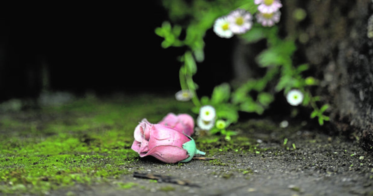 Álvaro Ybarra: Cuando se insulta la memoria de un país