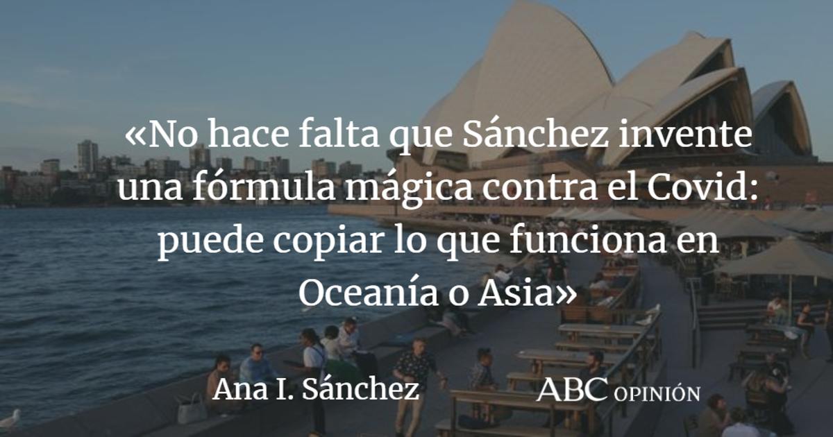 Ana I. Sánchez: Plagie, señor presidente