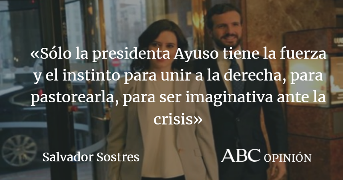 Salvador Sostres: La noche más larga