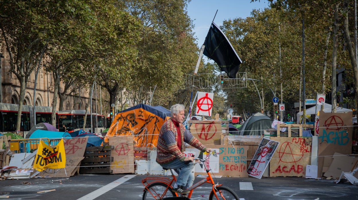 Rosa Belmonte: Anarquistas