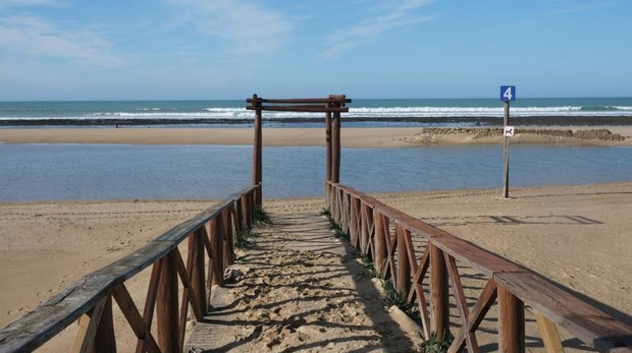 La Voz de Cádiz: La igualdad de género traicionada