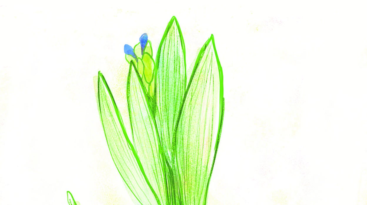 Mari Pau Domínguez: Liquidación por desesperación