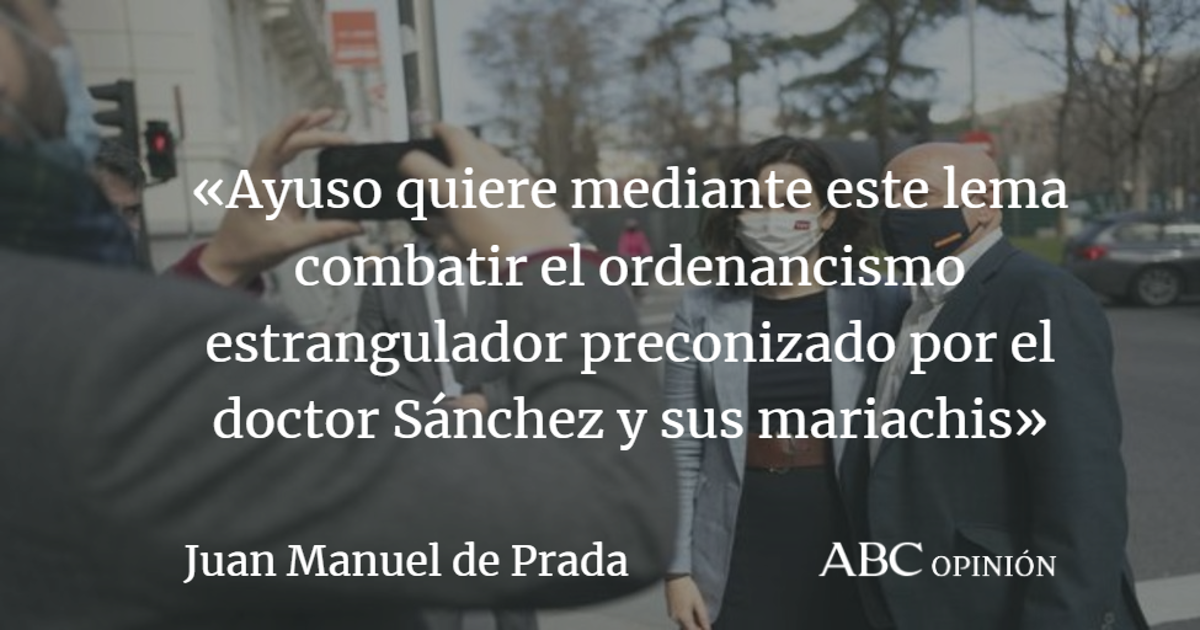Juan Manuel de Prada: Socialismo o libertad