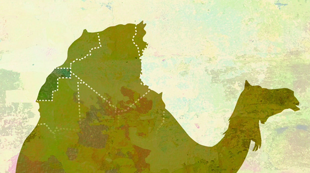 José María Carrascal: La tragedia del Sahara