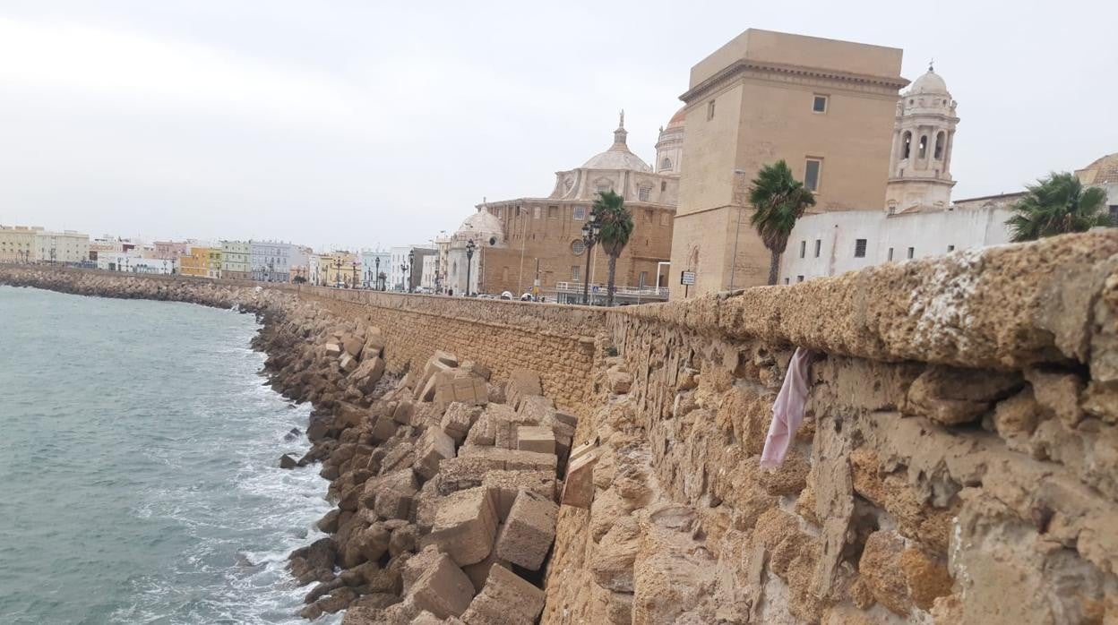 La Voz de Cádiz: Las murallas al fin reciben la atención que merecen