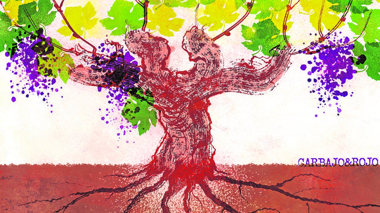 Javier Gómez de Liaño: Saber envejecer