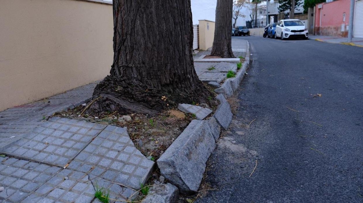 La Voz de Cádiz: Cádiz capital, abandonada a su suerte