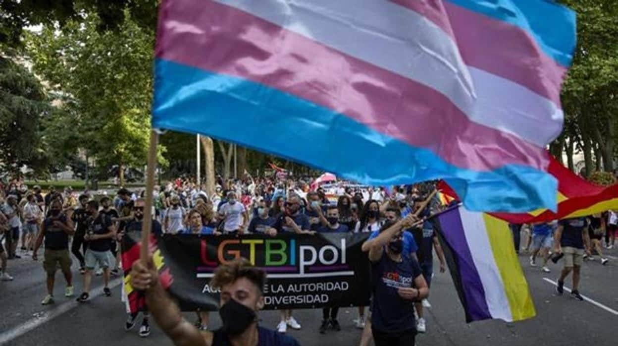 Francisco Apaolaza: La asombrosa leyenda del tapado gay hetero