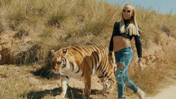 Aless Gibaja aparece en su último videoclip con una tigresa