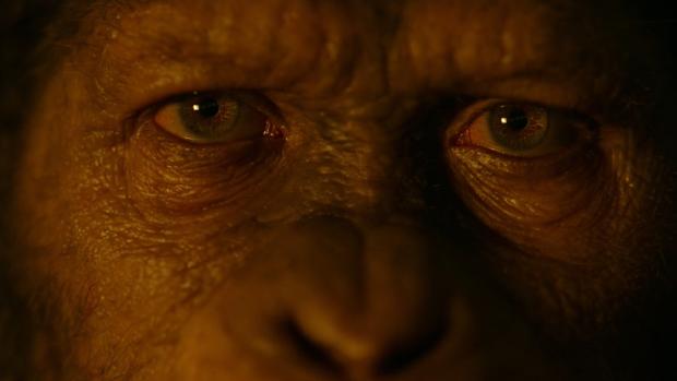 ¿En qué punto está la saga de «El planeta de los simios»?