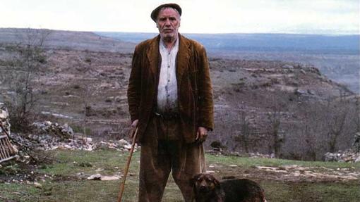 Diez películas sobre elecciones que no te puedes perder